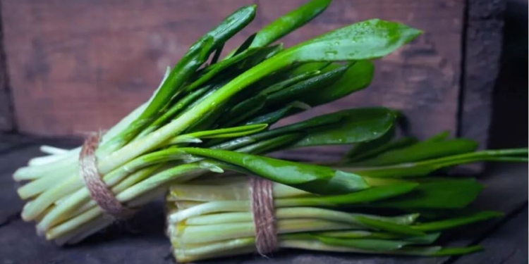 І часник, і цибуля. Чим корисна черемша, та з чим її їдять