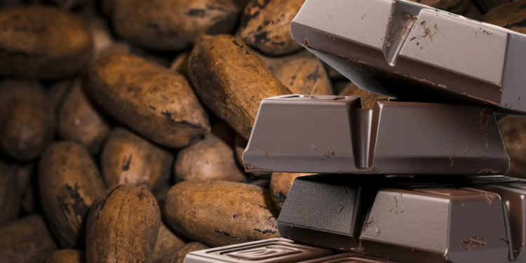 Любите шоколад? Їжте зараз, бо може подорожчати вдвічі