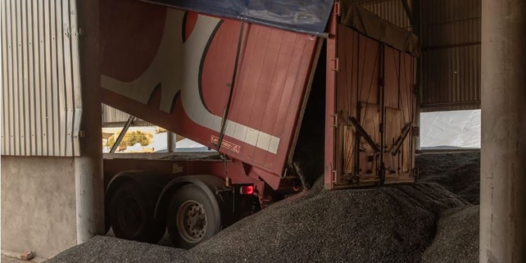 Підніжка від партнерів. Франція приєднується до Польщі щодо обмеження українського імпорту