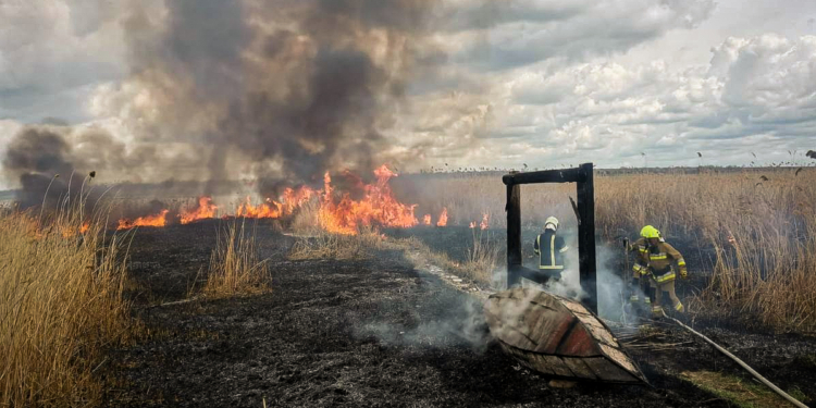 Пожежі в житлі та екосистемах: що гасили на Миколаївщині минулої доби (ФОТО)