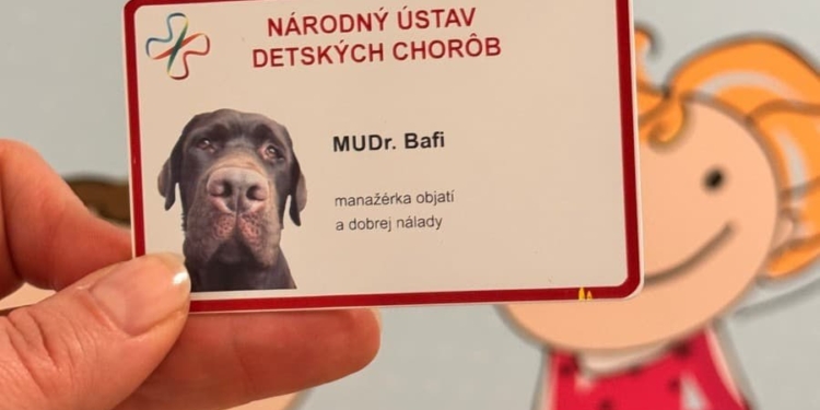 У Словаччині собаки почали лікувати дітей із розладами харчової поведінки