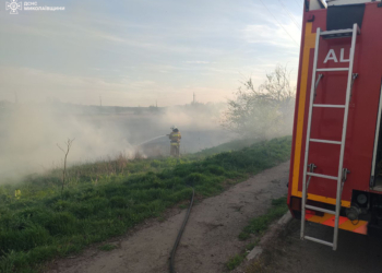 На Миколаївщині громадяни масово випалюють очерет: за добу вигоріло майже 5 га
