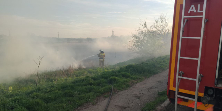 На Миколаївщині громадяни масово випалюють очерет: за добу вигоріло майже 5 га