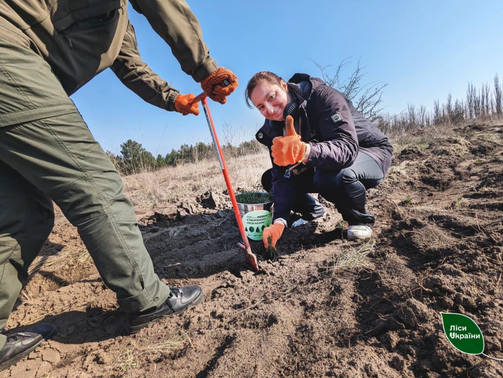 На Миколаївщині весняна лісокультурна кампанія виконана на 82% 1