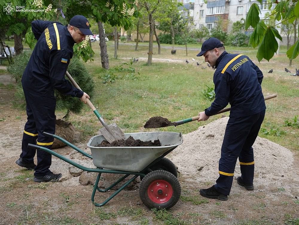 В Миколаєві на Намиві висадили сосни (ФОТО) 2