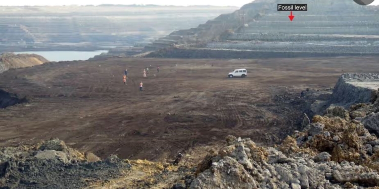 Це був жах. У Індії знайшли рештки величезної прадавньої змії – важила тонну