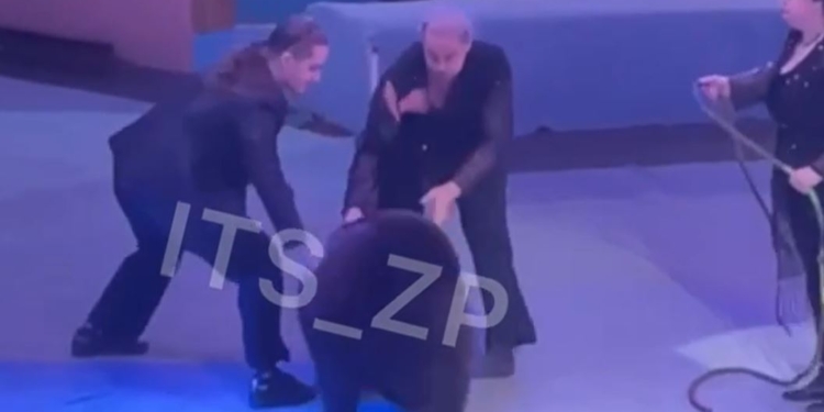 У запорізькому цирку ведмідь напав на дресируваника (ВІДЕО)