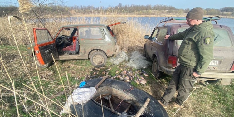 На Миколаївщині чоловік сітками виловив 25 кг карасів, чим завдав шкоди на майже 95 тис.грн. (ФОТО)