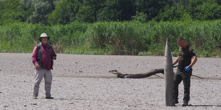 Колишнє Каховське водосховище вже наполовину заросло вербою. Екологи кажуть – не треба відновлювати ГЕС