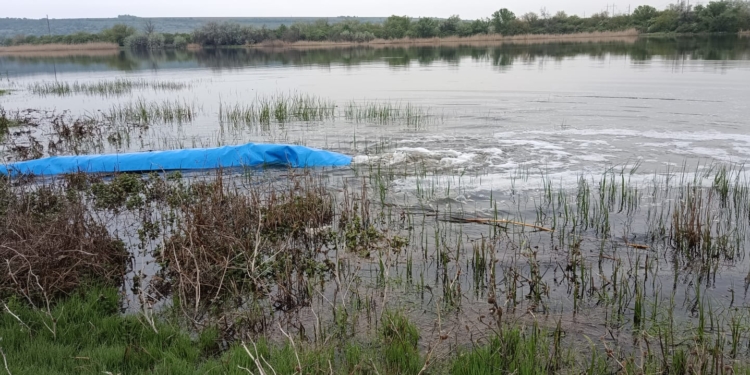 У річку Мертвовод на Миколаївщині вселили 49 тисяч мальків коропа (ФОТО)