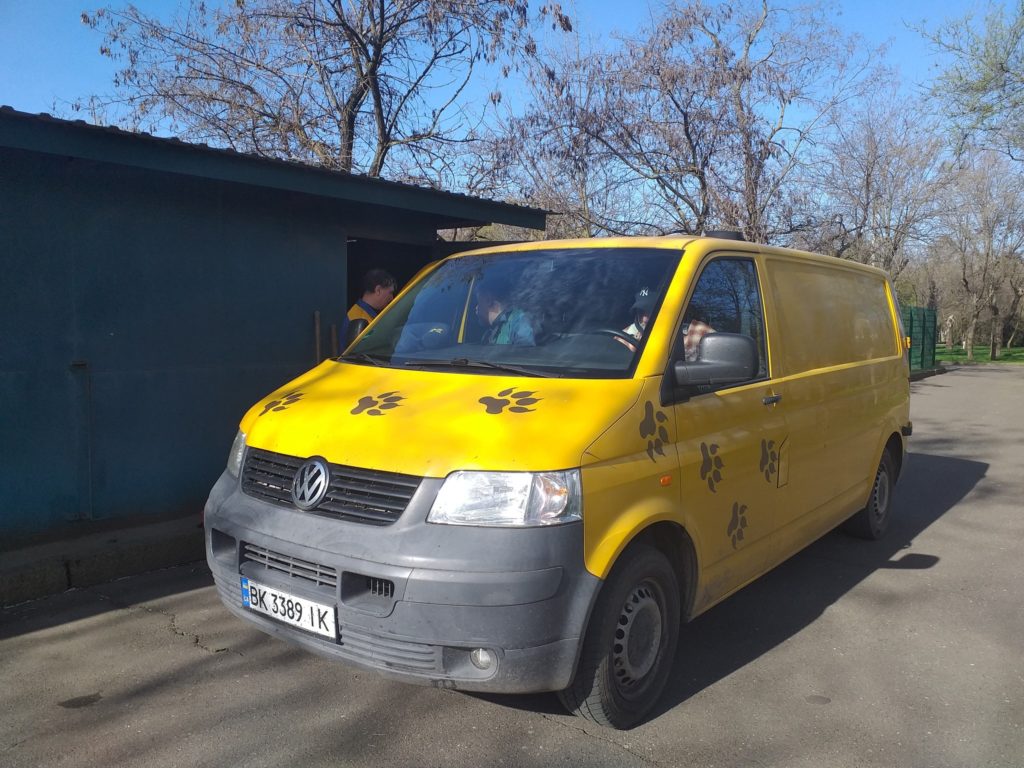 Гуанако, священні ібіси та каракал: Миколаївський зоопарк отримав нових тварин по обміну (ФОТО) 2