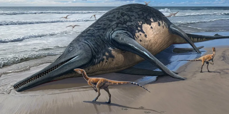 В Британії знайшли скам’янілості найбільшої морської рептилії в історії