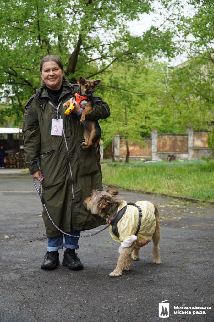 Dog-market в Миколаєві: новий дім для песиків, корисні лекції та благодійний збір (ФОТО) 21