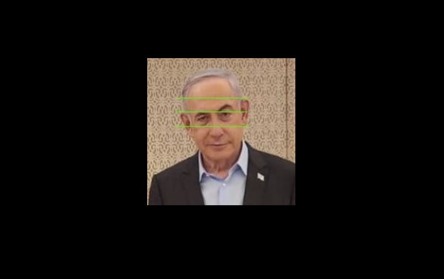 В Ізраїлі фотошоп спричинив політичний скандал - завинила Сара Нетаньягу (ФОТО) 3