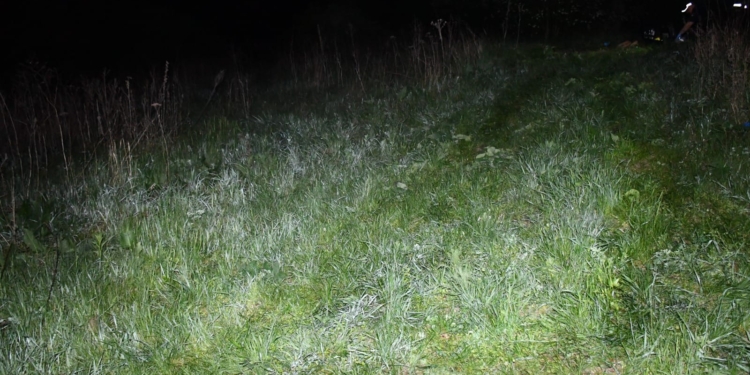 Побили і втопили. На Миколаївщині затримали двох, які вбили третього (ФОТО)