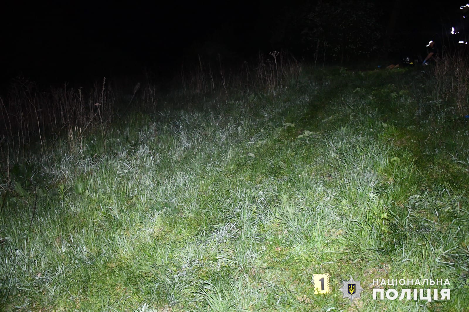 Побили і втопили. На Миколаївщині затримали двох, які вбили третього (ФОТО)