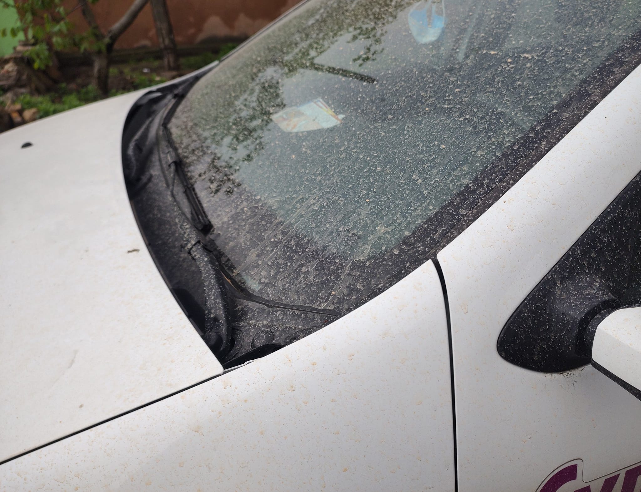 «Брудний» дощ у Миколаєві приніс пил та пісок з Сахари (ФОТО)