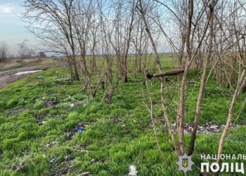 Росіяни прилаштували РПГ-22 в гіллі: на Миколаївщині вибухотехніки поліції знищили ворожу гранату (ФОТО)