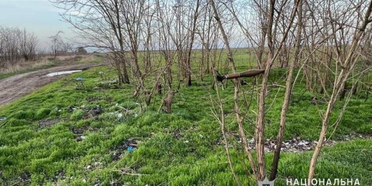 Росіяни прилаштували РПГ-22 в гіллі: на Миколаївщині вибухотехніки поліції знищили ворожу гранату (ФОТО)