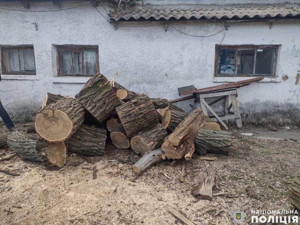 На Миколаївщині затримали банду чорних лісорубів - нарізали деревини на мільйон (ФОТО) 3