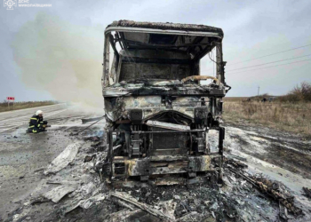 На одній з автодоріг Миколаївщини вщент вигоріла вантажівка з картонними лотками для яєць (ФОТО)