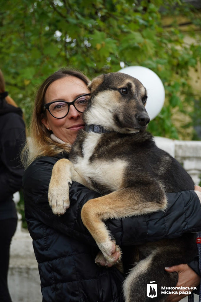 Dog-market в Миколаєві: новий дім для песиків, корисні лекції та благодійний збір (ФОТО) 5