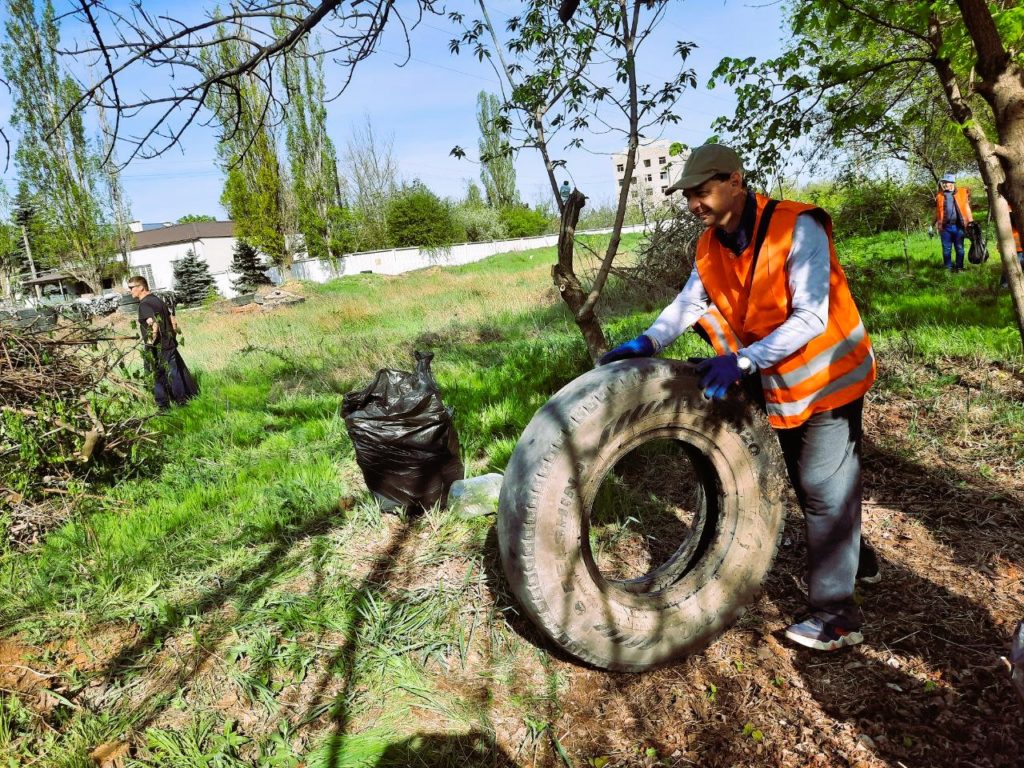 У Миколаєві відбулась масштабна толока (ФОТО) 6