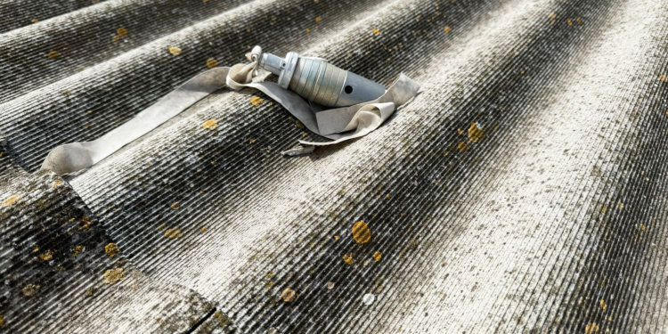 Вибухотехніки поліції знешкодили касетні боєприпаси, які люди знайшли у Миколаєві та в Шевченківській громаді (ФОТО, ВІДЕО)