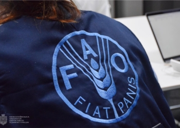 Делегація FAO на Миколаївщині: проект з розмінування сельгоспземель та пересувні зерносховища (ФОТО)