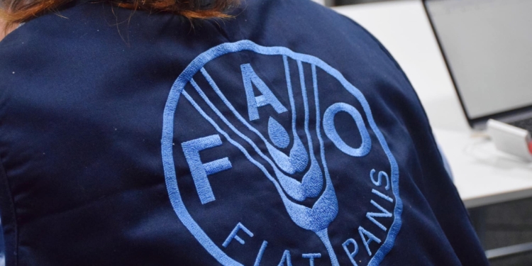 Делегація FAO на Миколаївщині: проект з розмінування сельгоспземель та пересувні зерносховища (ФОТО)