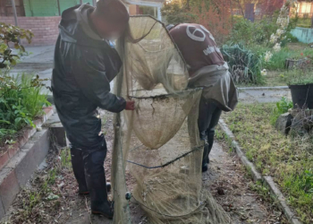 Завдали понад 230 тисяч гривень збитків державі – на Миколаївщині затримали браконьєрів (ФОТО)