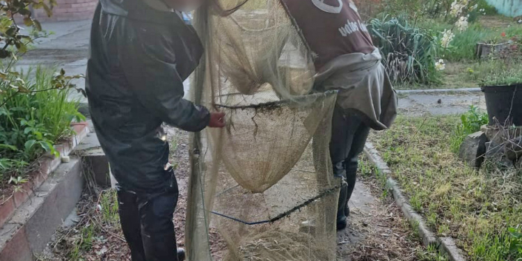 Завдали понад 230 тисяч гривень збитків державі – на Миколаївщині затримали браконьєрів (ФОТО)