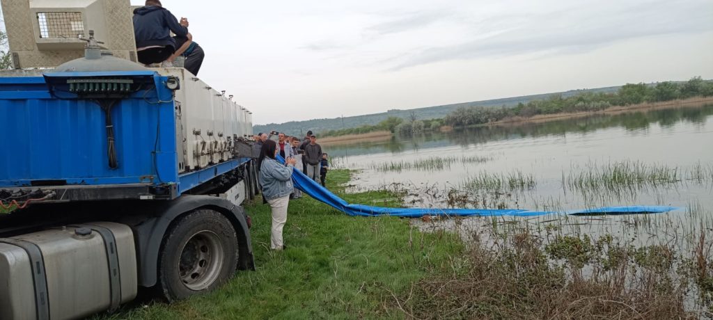 У річку Мертвовод на Миколаївщині вселили 49 тисяч мальків коропа (ФОТО) 10