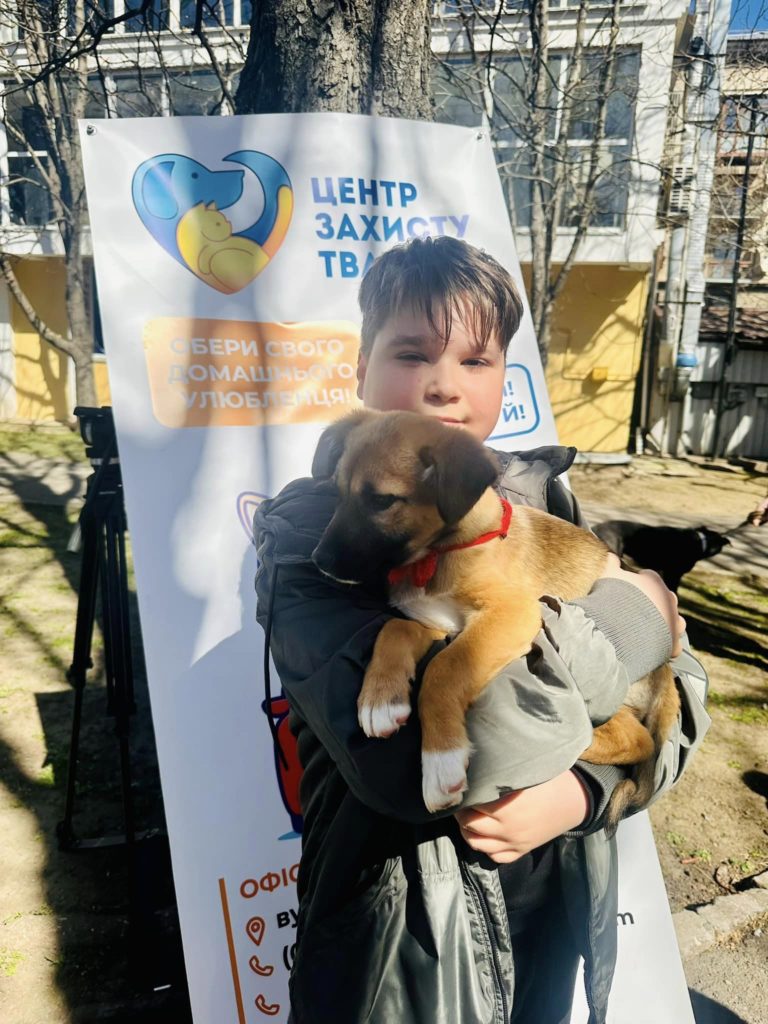 На виставці-прилаштуванні безпритульних тварин у Миколаєві 19 «хвостиків» знайшли домівки (ФОТО) 12