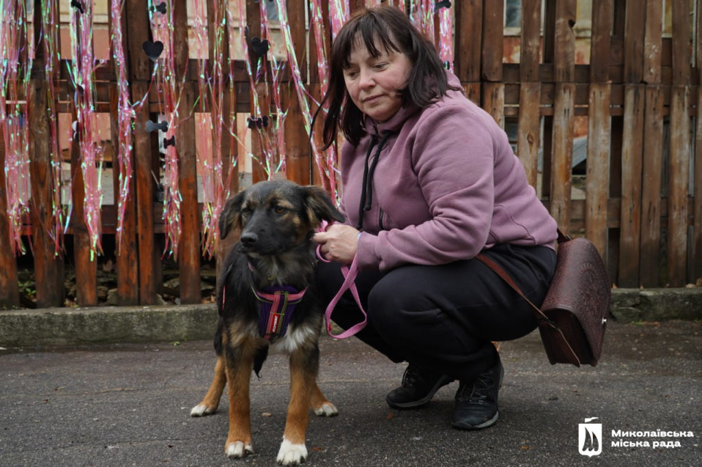 Dog-market в Миколаєві: новий дім для песиків, корисні лекції та благодійний збір (ФОТО) 13