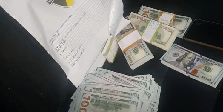 “Сотка зелені”. Як збагачуються мери – навіть під час війни