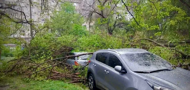 В Одесі буревій викорчовував дерева та трощив авто (ФОТО) 5