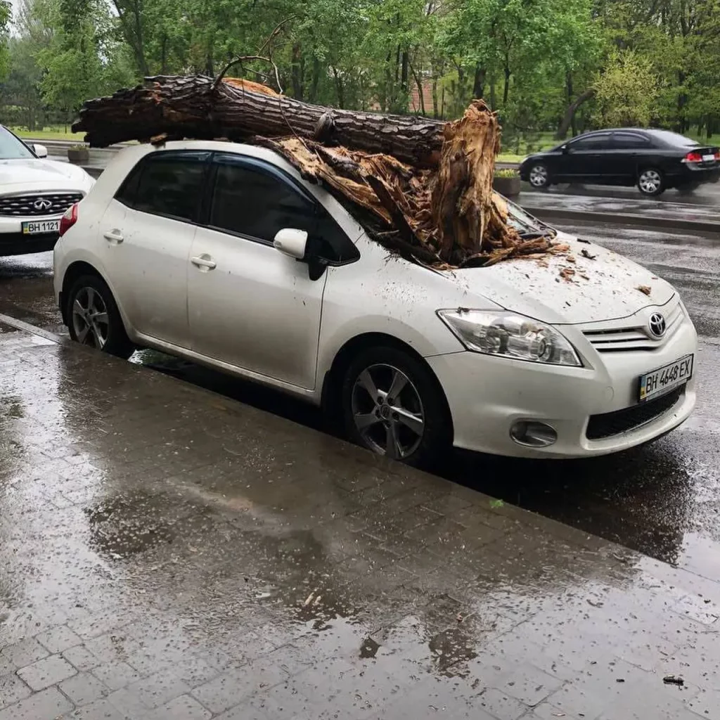 В Одесі буревій викорчовував дерева та трощив авто (ФОТО) 7