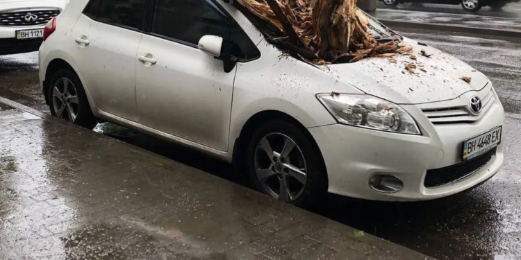 В Одесі буревій викорчовував дерева та трощив авто (ФОТО)