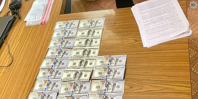 На Миколаївщині жінка намагалася відкупитися від поліції – $2 тис. не допомогли (ФОТО)