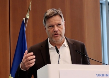Захід зробив недостатньо для підтримки України – віцеканцлер Німеччини