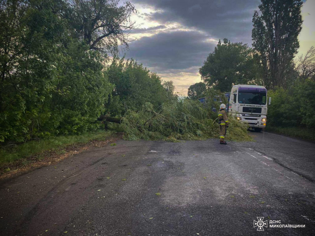 На Миколаївщині негода валила дерева – прибирали рятувальники (ФОТО) 2