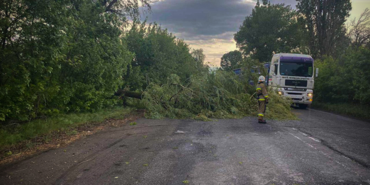 На Миколаївщині негода валила дерева – прибирали рятувальники (ФОТО)