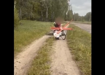 «Помідори самі себе не підвʼяжуть». Бабця збирали знаки “Міни”, бо цінна ж річ (ВІДЕО)