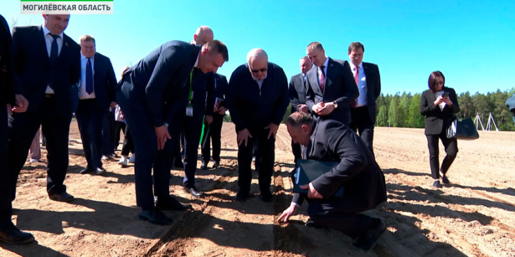 “Ищи!”, – Лукашенко змусив міністра вигребти із землі зерно, щоб перевірити глибину посіву (ВІДЕО)