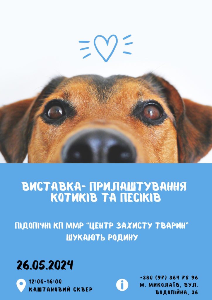 «Центр захисту тварин» проведе у Миколаєві чергову виставку прилаштування безпритульних тварин 2