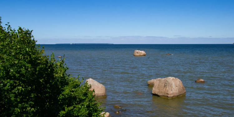 Естонія продає острів – досить великий, можлива забудова