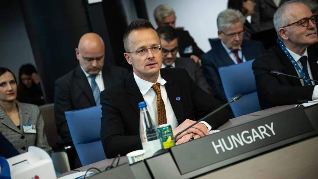 Угорщина ветувала «формулу миру» Зеленського в Раді Європи 1