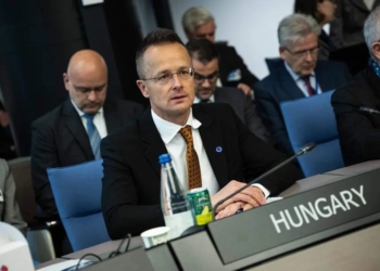 Угорщина ветувала «формулу миру» Зеленського в Раді Європи