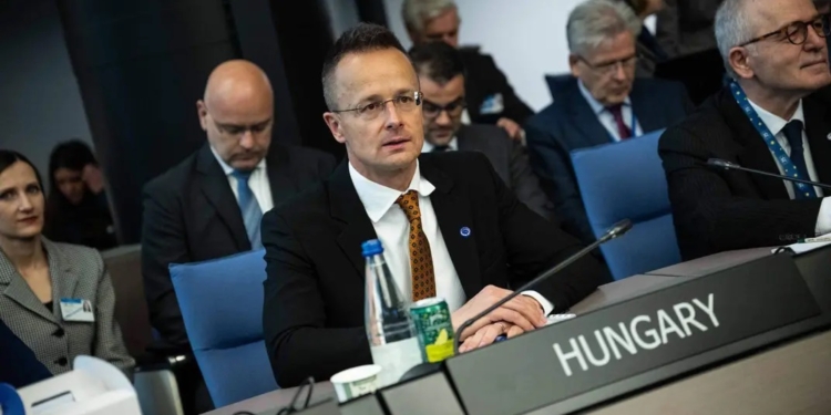 Угорщина ветувала «формулу миру» Зеленського в Раді Європи